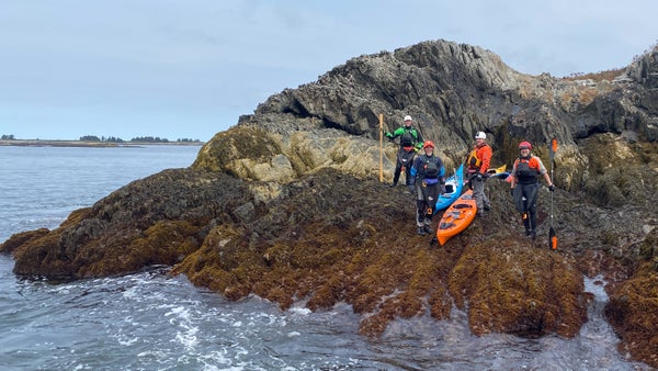 Moving water skills with Pinniped Kayak, Professional Training