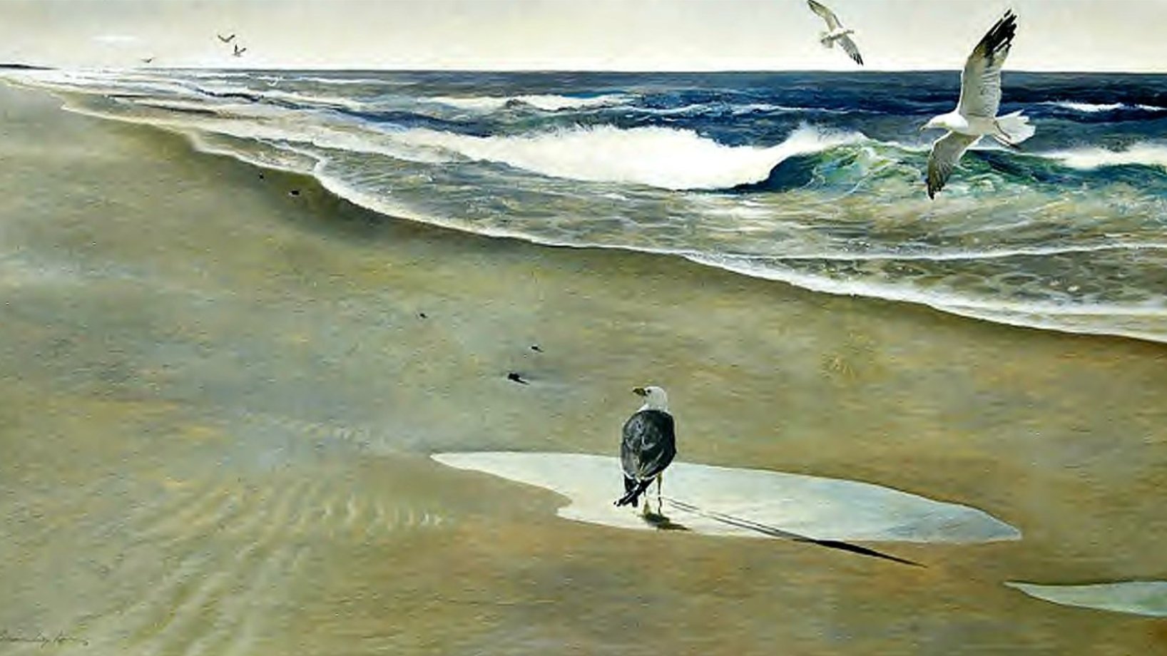 Evening Surf at Higgins